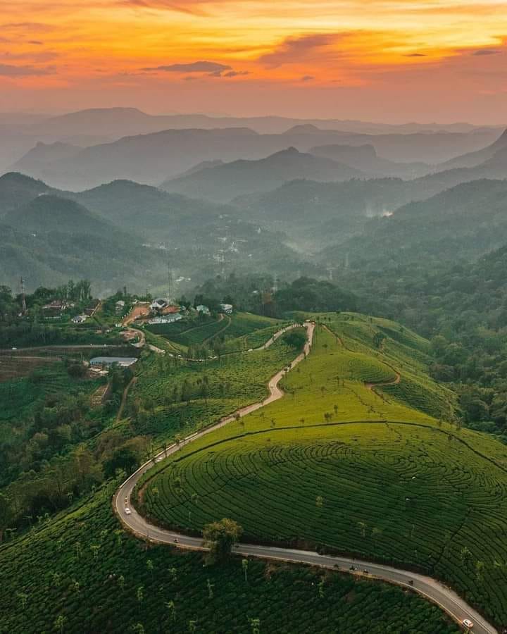 Sunset over the tea hills of Munnar, Kerala
