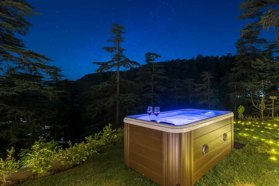 1 Room @ Pine Estate, Shimla
