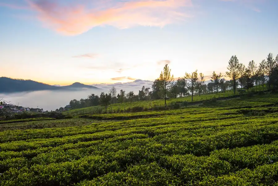 2 Rooms @ Villa Hugel, Ooty