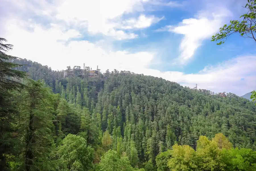 4 Rooms @ Shimla Manor, Shimla