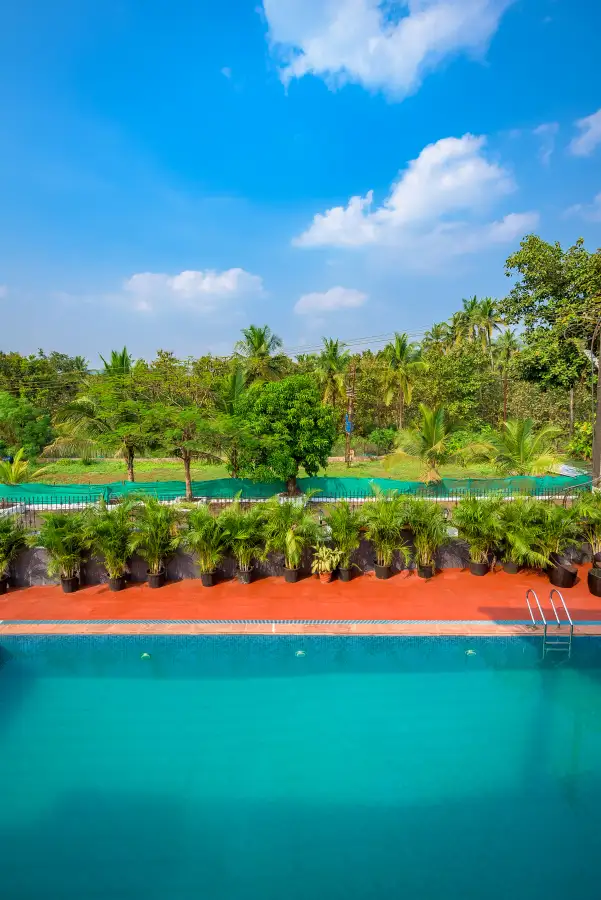 Adora Woods And Hills, Murud