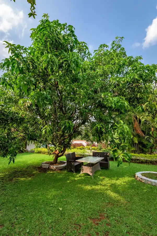 Adora Woods And Hills, Murud
