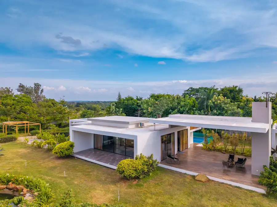 Albert Palms - A Longitude Signature, Bangalore