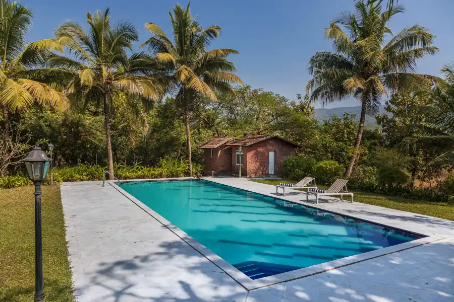 Alma Grove, Kashid