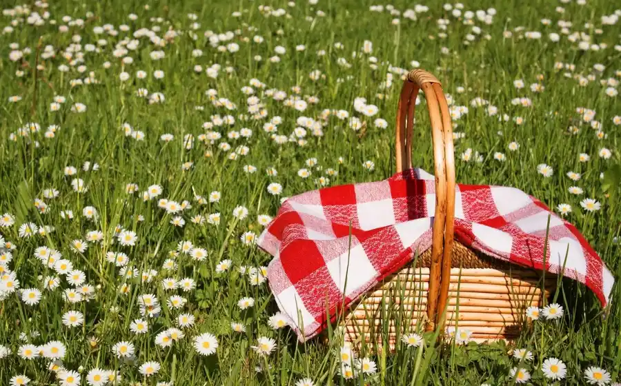 Aloha on the Ganges By Leisure Hotels Experiences