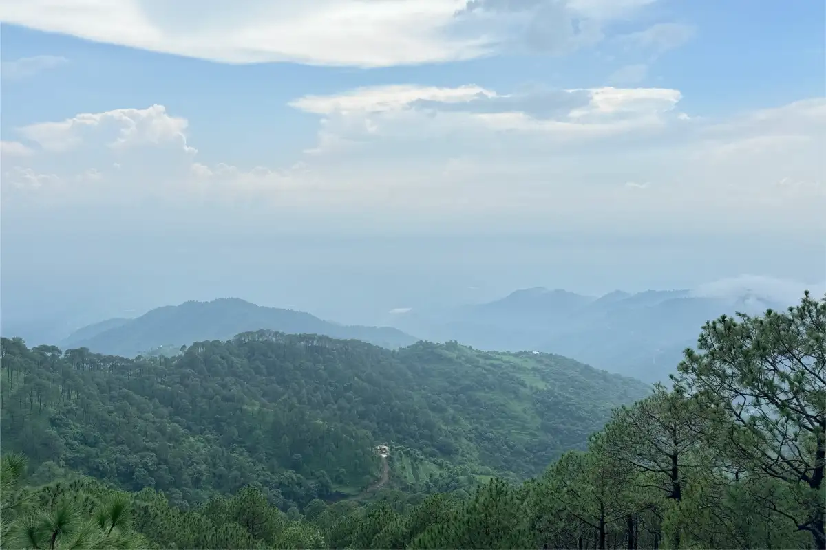 Alpenglow Skyline Estate, Kasauli
