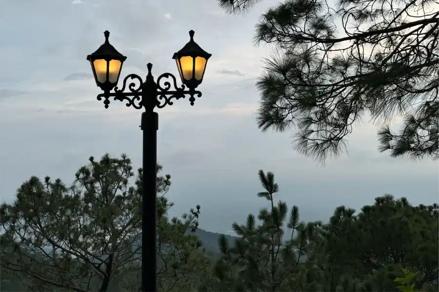 Alpenglow Skyline Estate, Kasauli