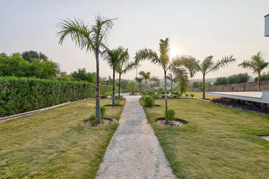 Amaltas, Delhi NCR