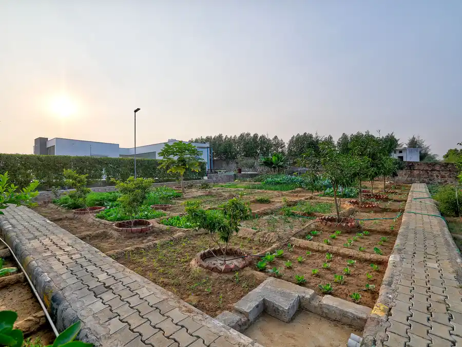 Amaltas, Delhi NCR