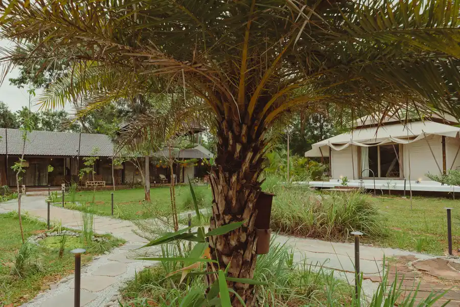 Ananta Bliss Bale, Bengaluru
