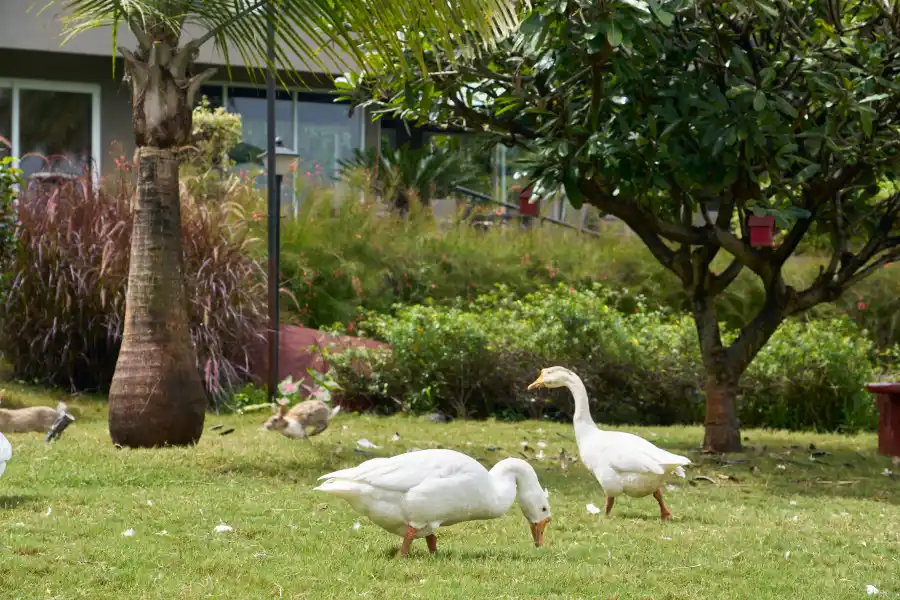 Aqua Vista, Nashik, Maharashtra