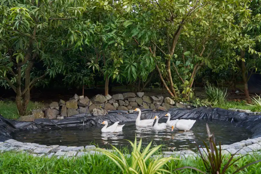 Aqua Vista, Nashik, Maharashtra