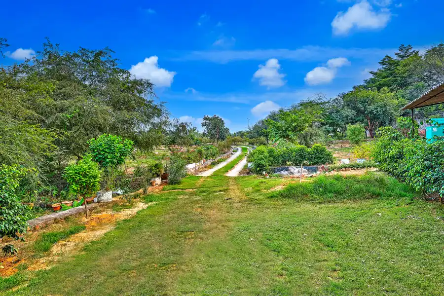 Aravale Farm, Delhi NCR
