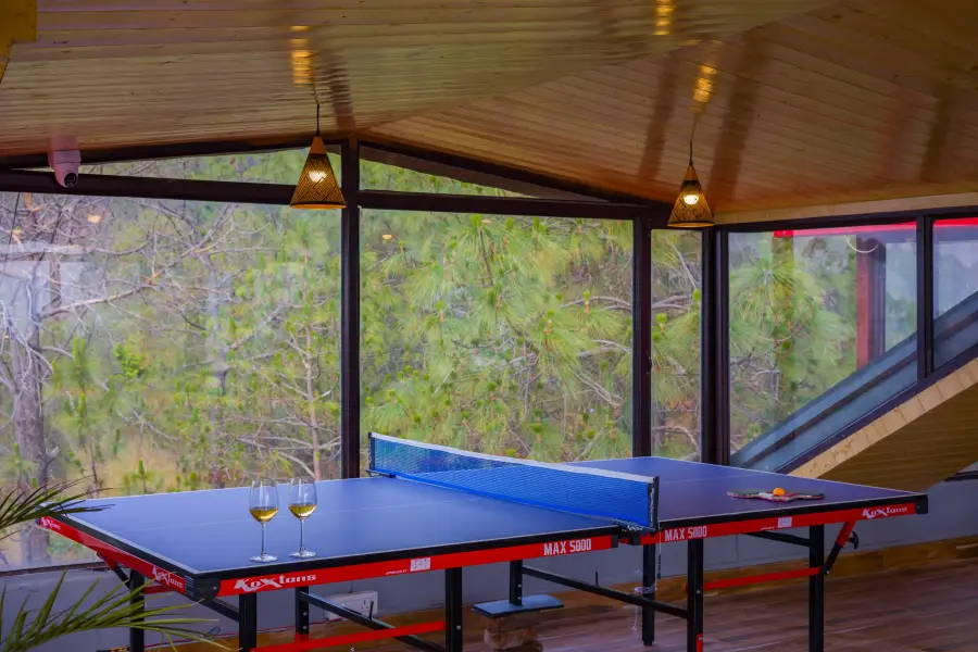 Archee’s Villa, Kasauli