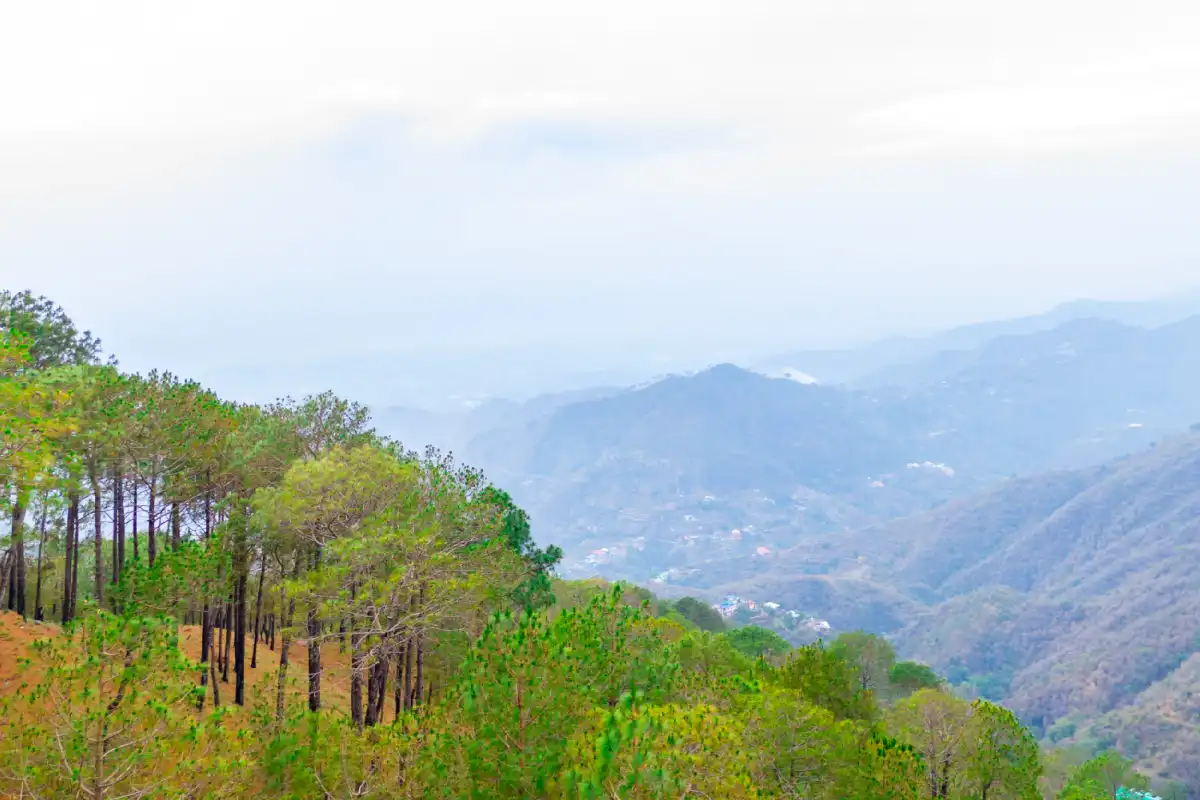 Archee’s Villa, Kasauli