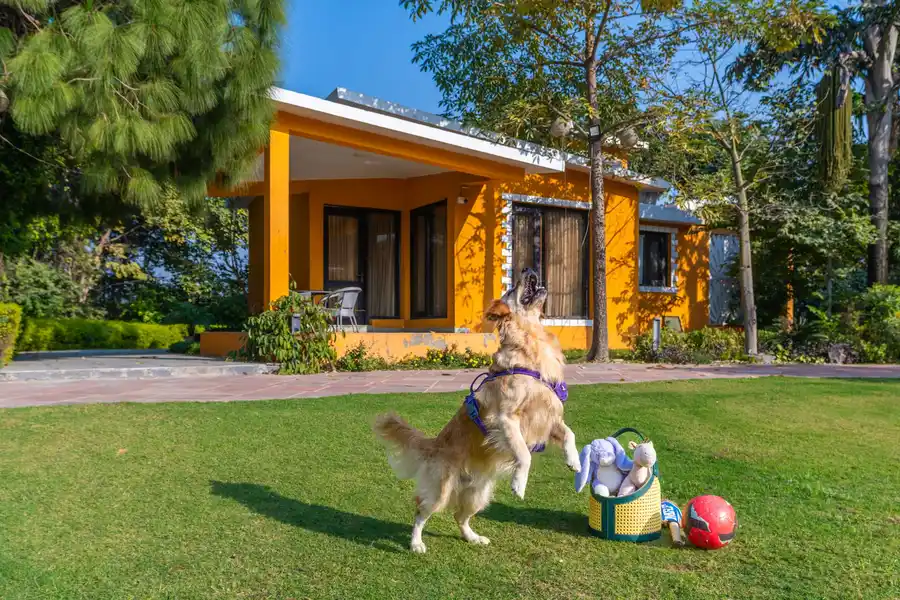 Artha @ The Manvi Estate - with Private Pool, New Delhi