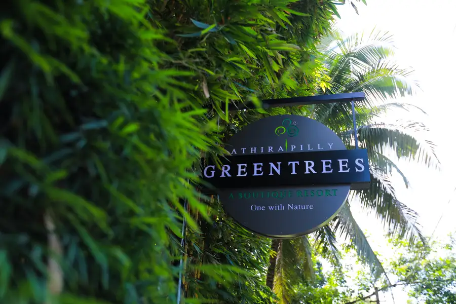 Athirappilly Green Trees Resort Views