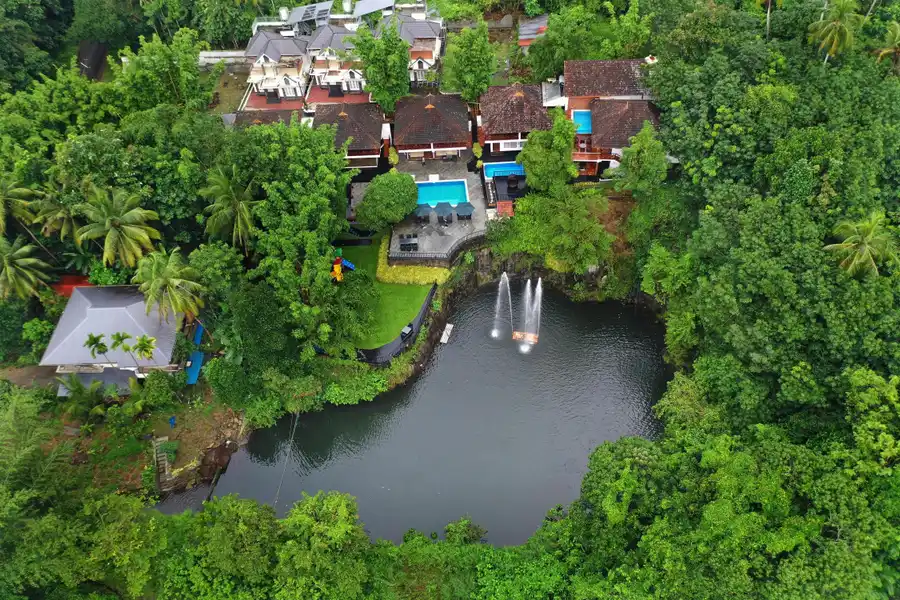 Athirappilly Green Trees Resort Views