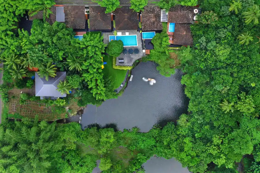 Athirappilly Green Trees Resort Garden