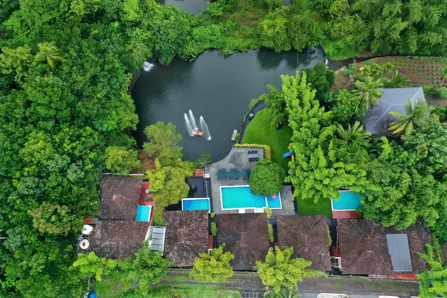 Athirappilly Green Trees Resort Others