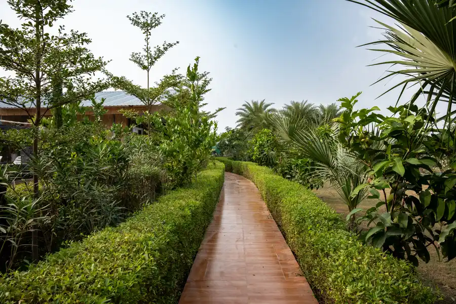Aurea, Delhi NCR