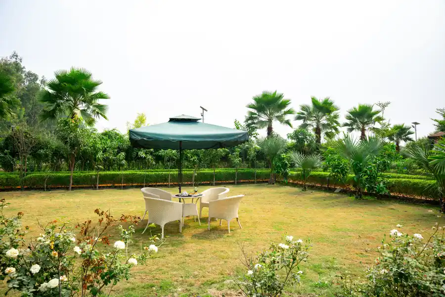 Aurea, Delhi NCR