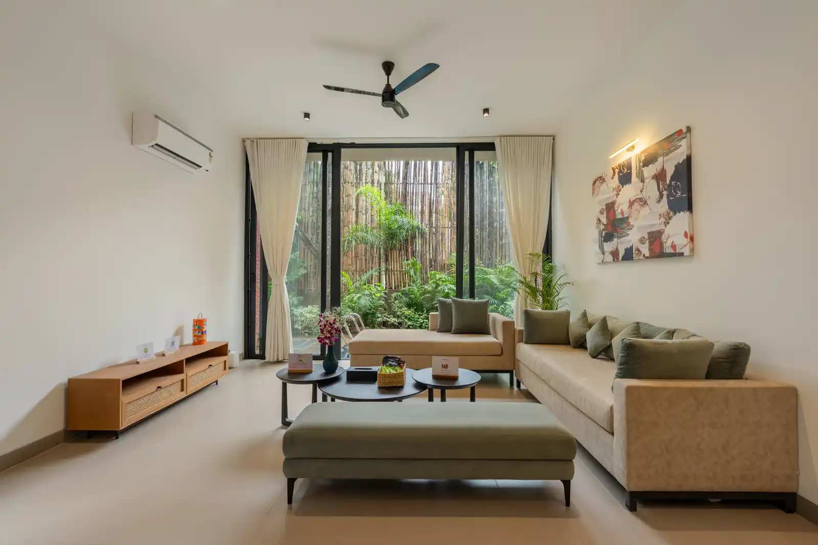Aurelia, North Goa
