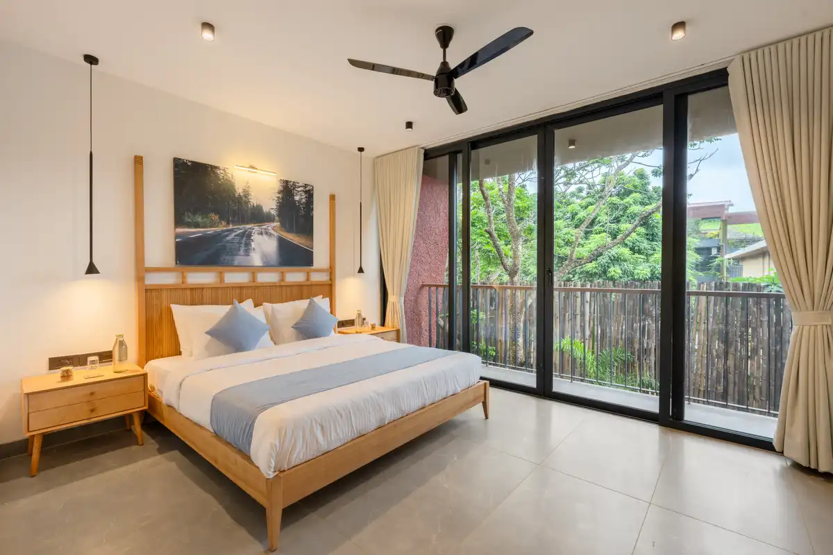 Aurelia, North Goa