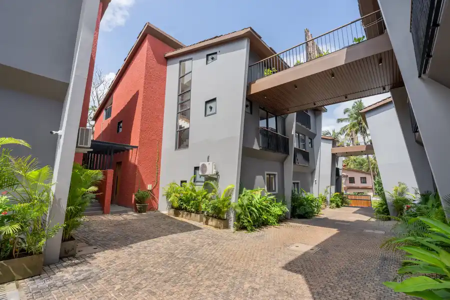 Aurelia, North Goa