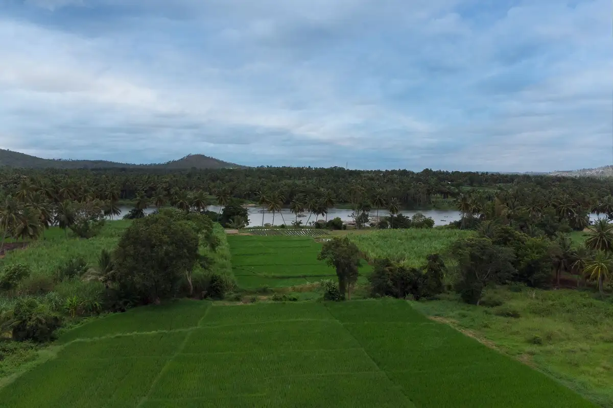 Ava - The Country House, Mysore
