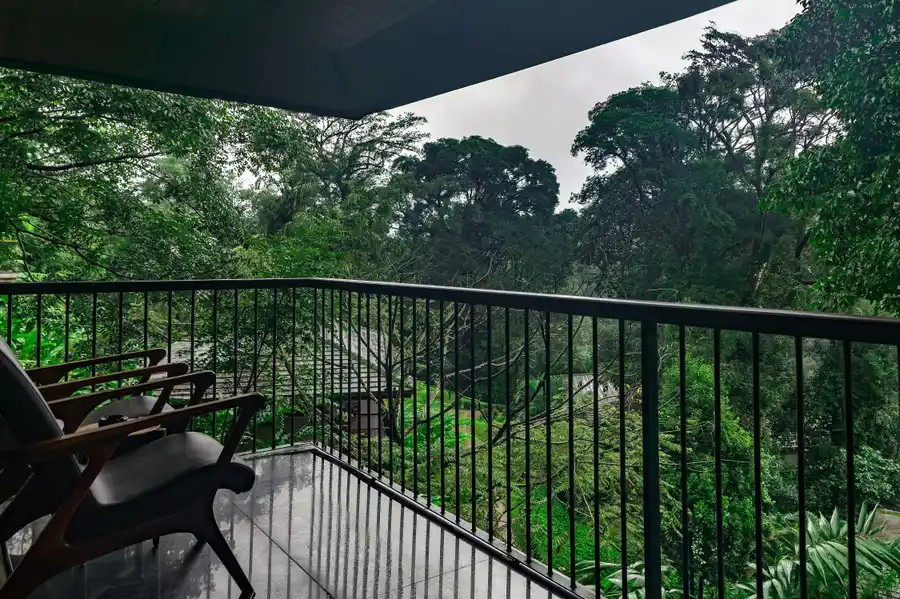 Ayatana, Coorg The Western Ghats Views