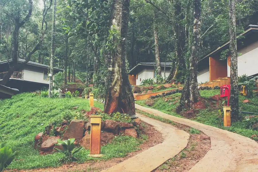 Ayatana, Coorg The Western Ghats Views