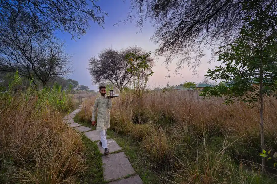 Bagh Serai, Ranthambore