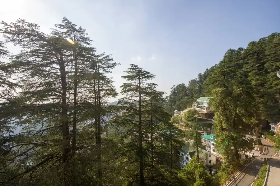 Baljees Melville Divine Apartments, Shimla