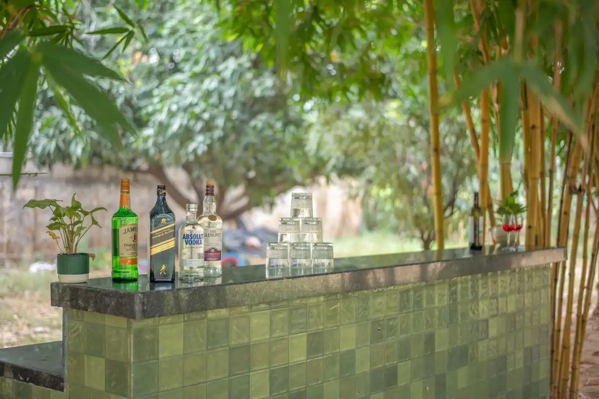 Bamboo Bagh, Jaipur