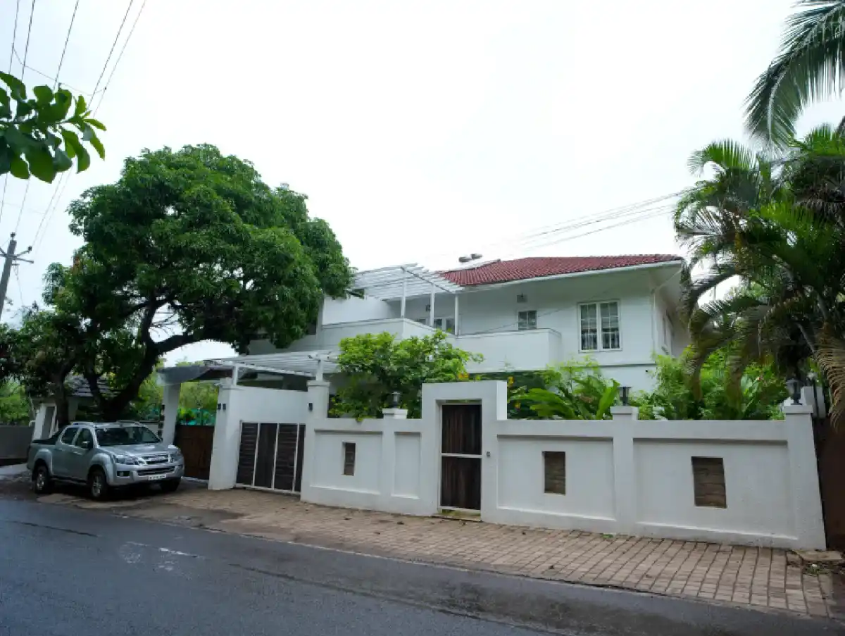 Bauhinia, North Goa