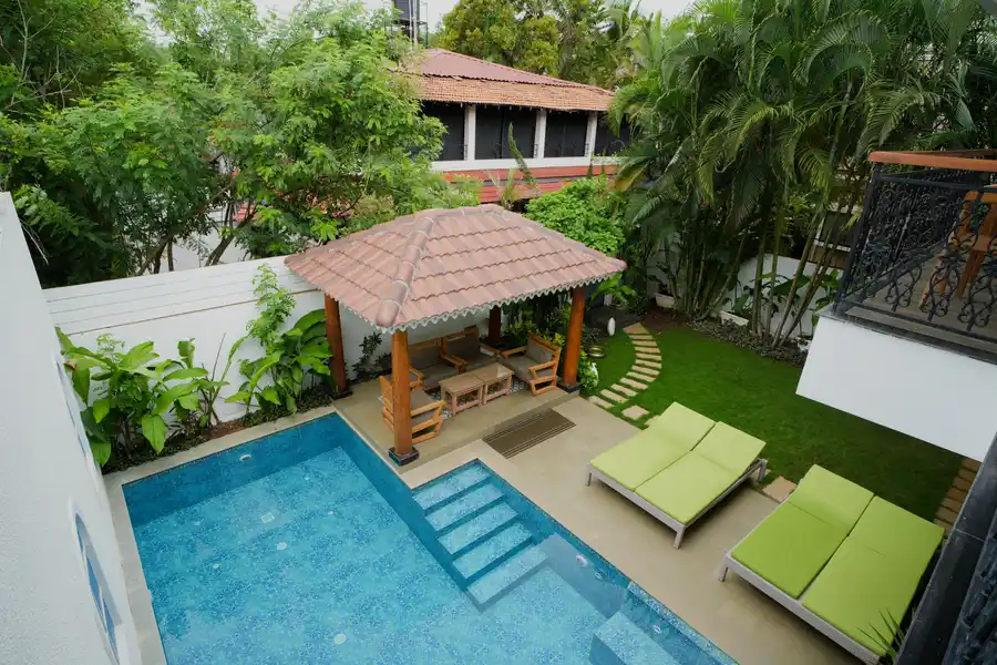 Bauhinia, North Goa