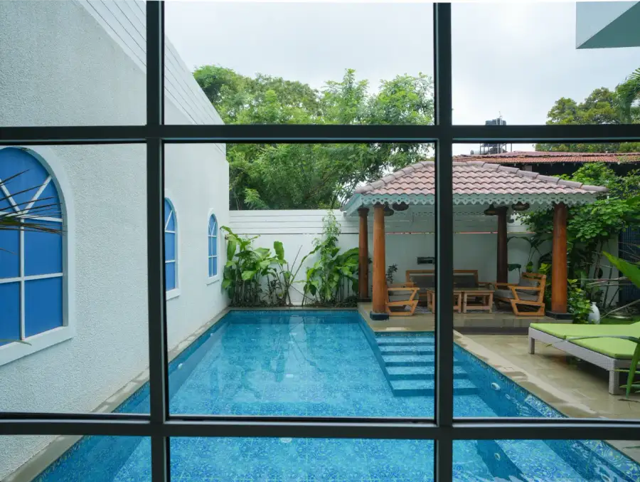 Bauhinia, North Goa