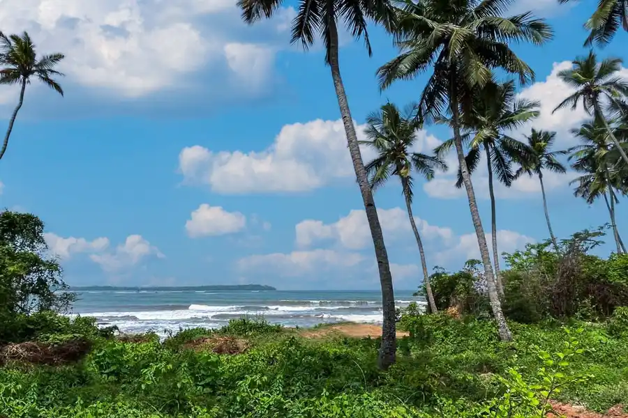 Bay View - Reis Magos, North Goa