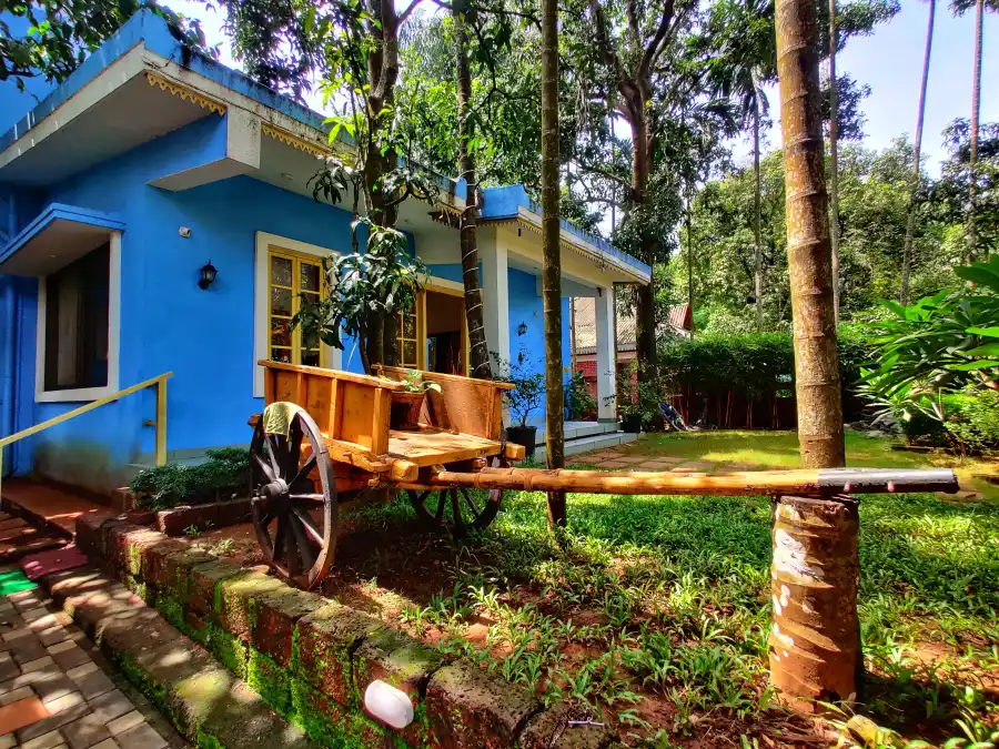 Beach Blues, Alibaug