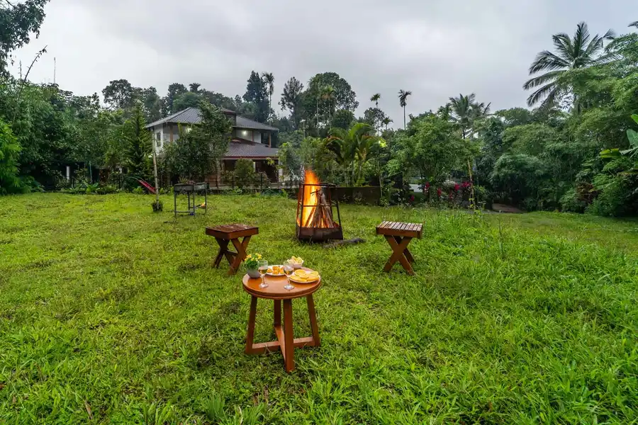 Bougainville, Wayanad