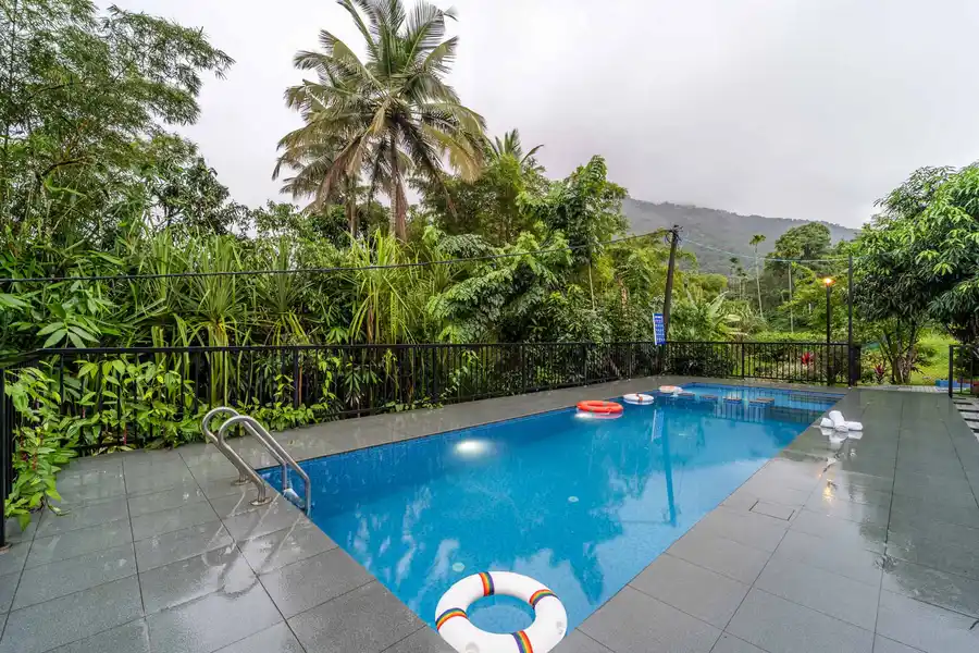 Bougainville, Wayanad