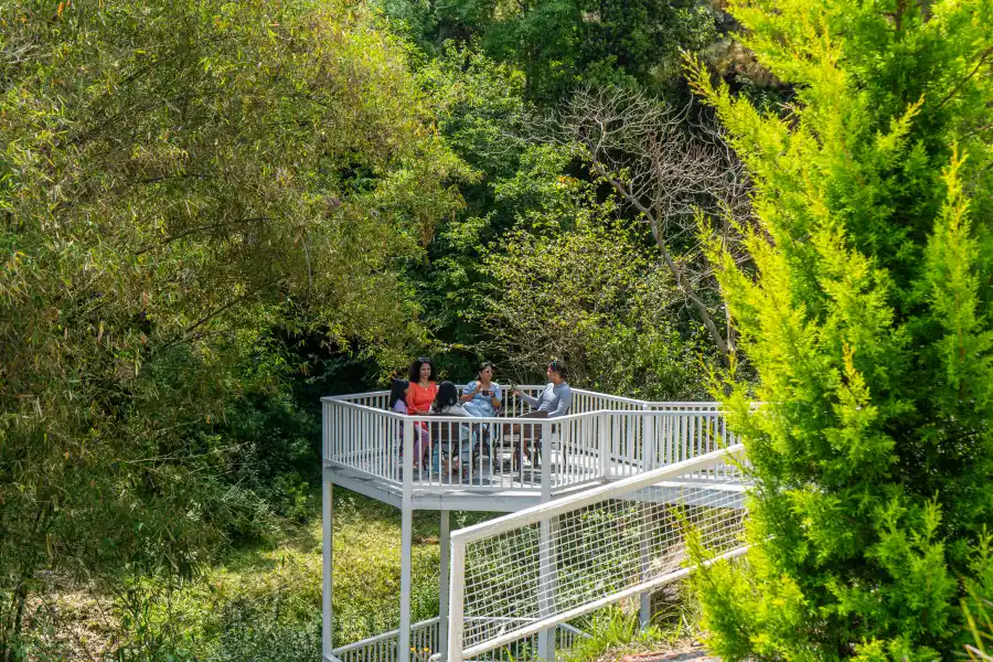 Brookside Estate, Almora