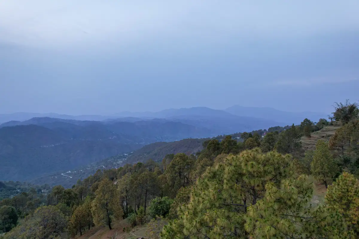 Brookside Estate, Almora