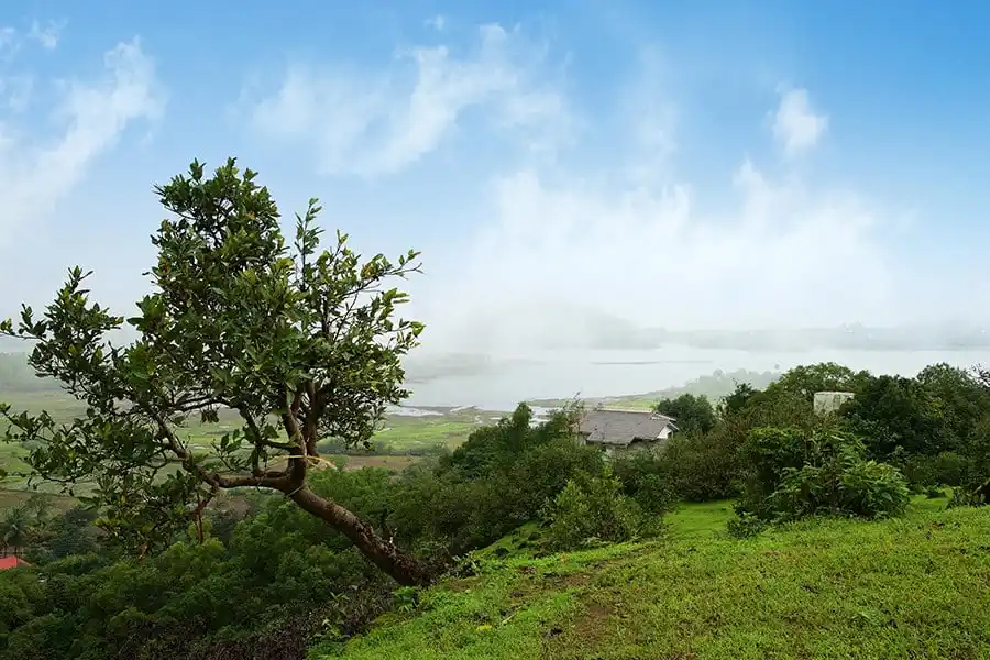 Bungalow 89, Lonavala