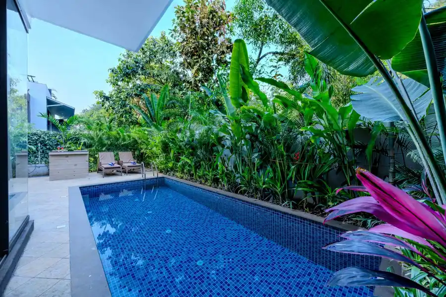 Casa Doro - Vagator, North Goa
