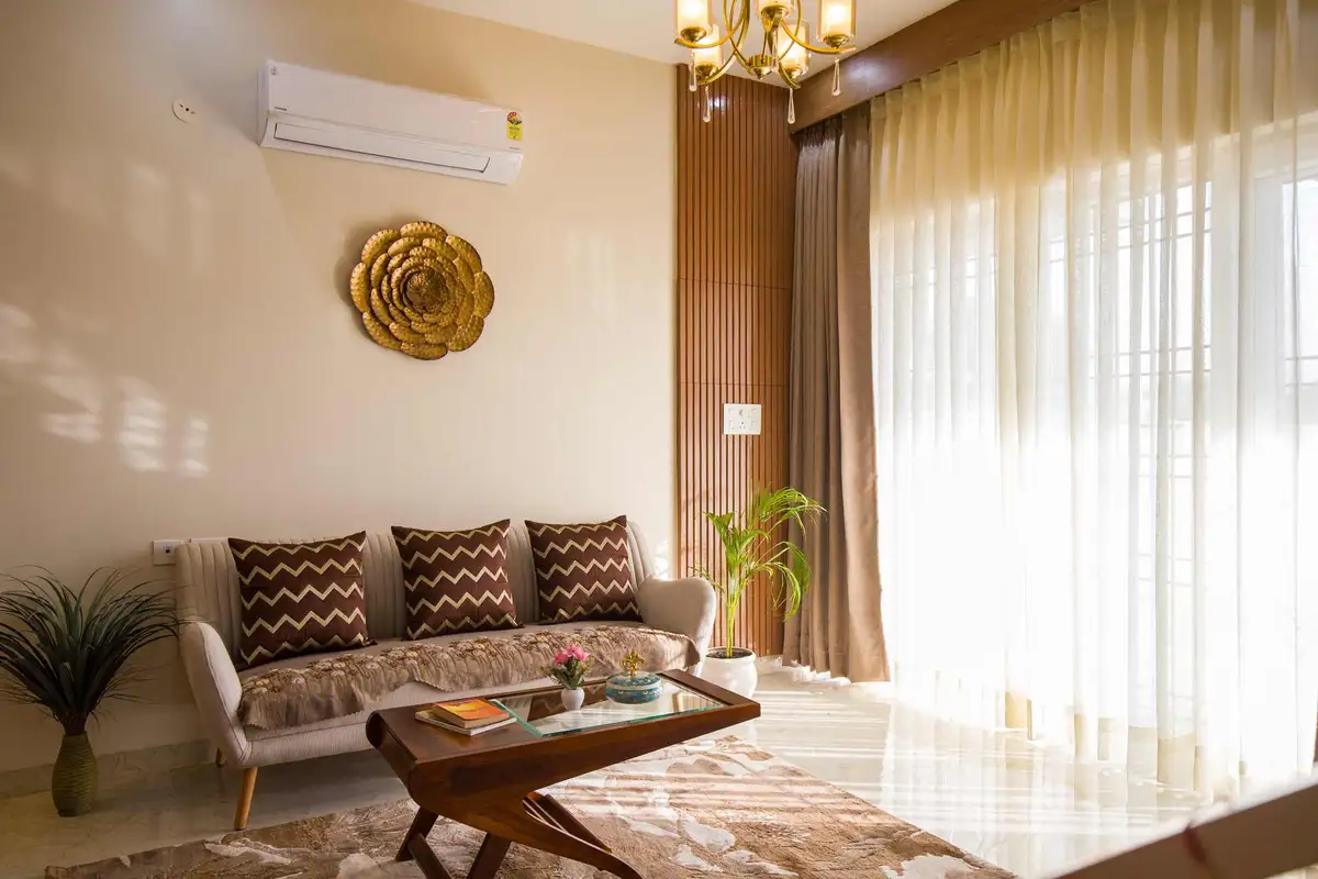 Cassias, Jaipur