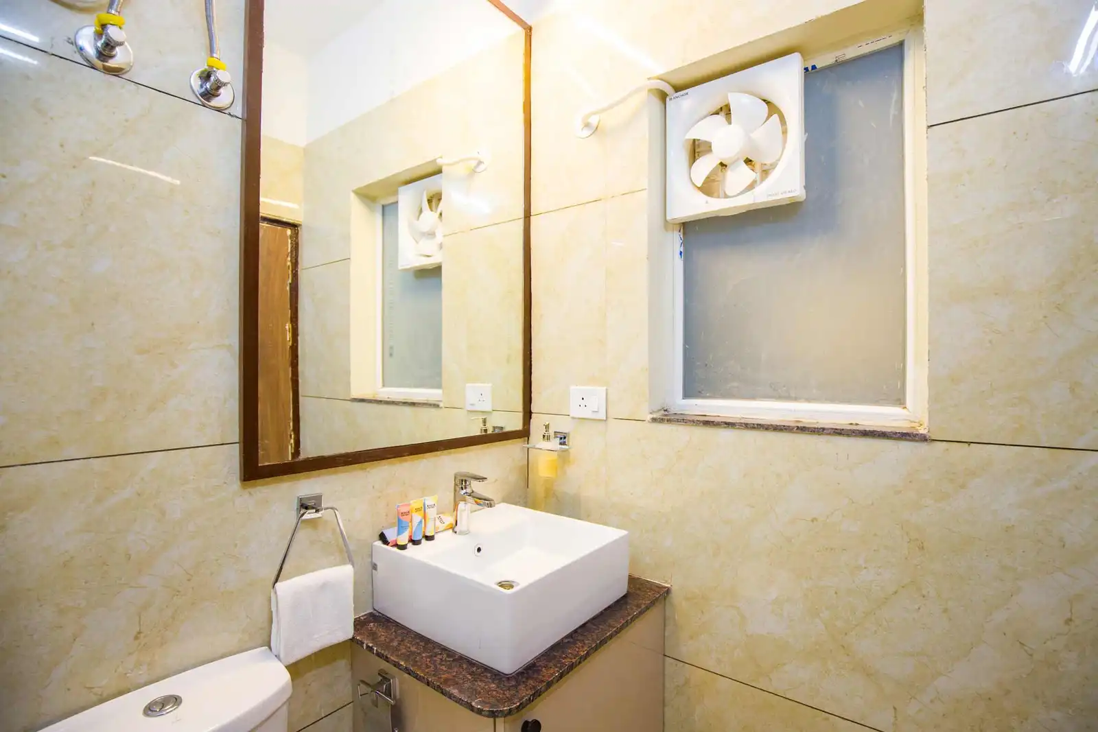 Cassias, Jaipur