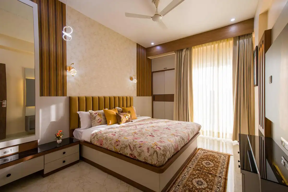 Cassias, Jaipur