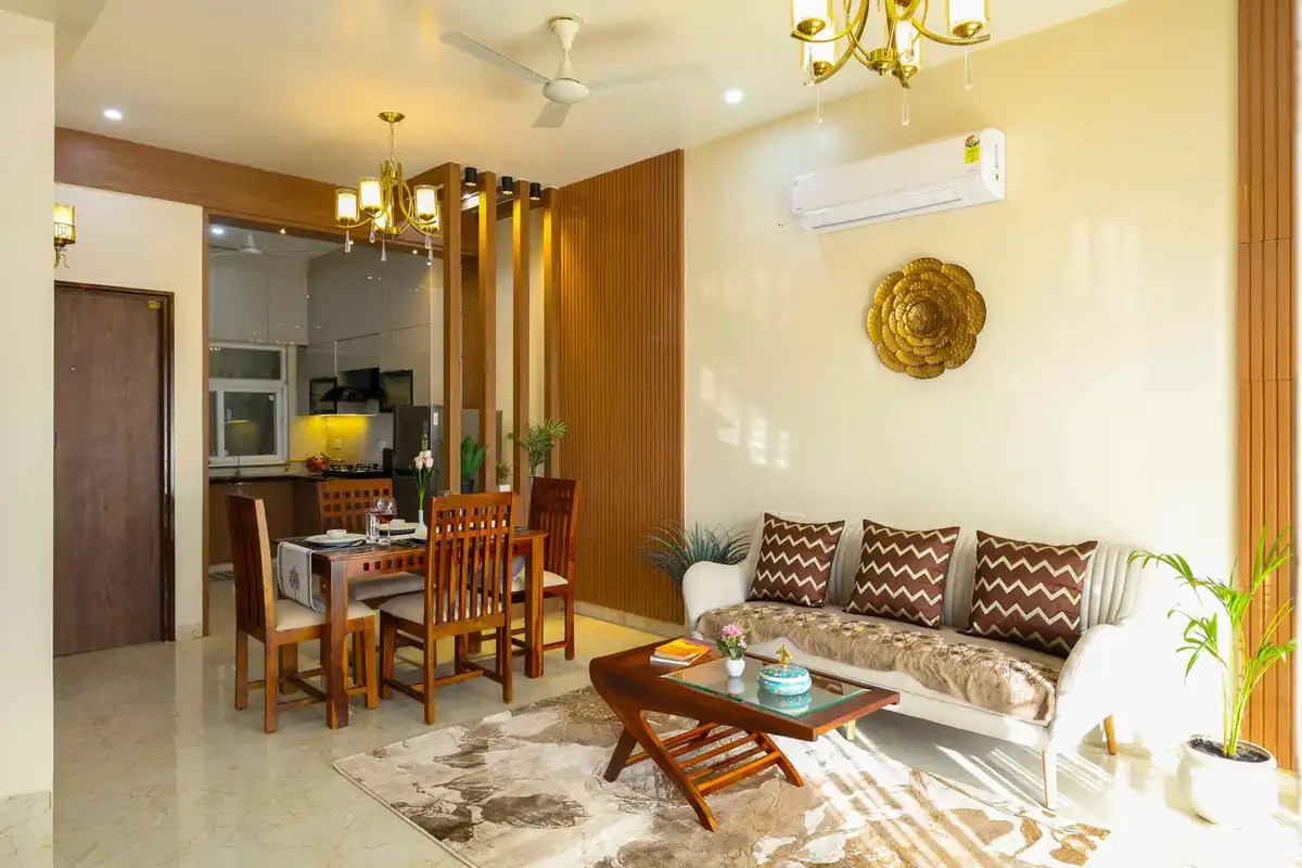 Cassias, Jaipur